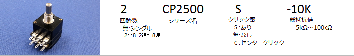 CP2500